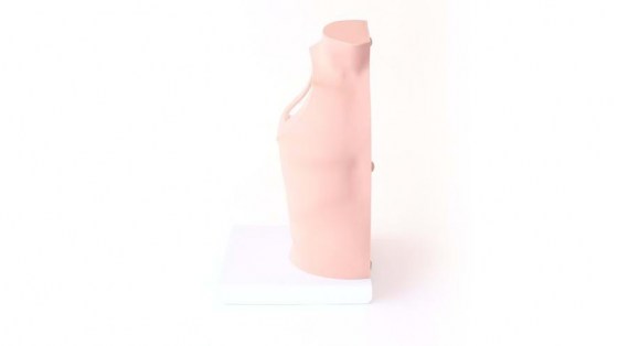 70200-07-70215-1-shoulder_torso