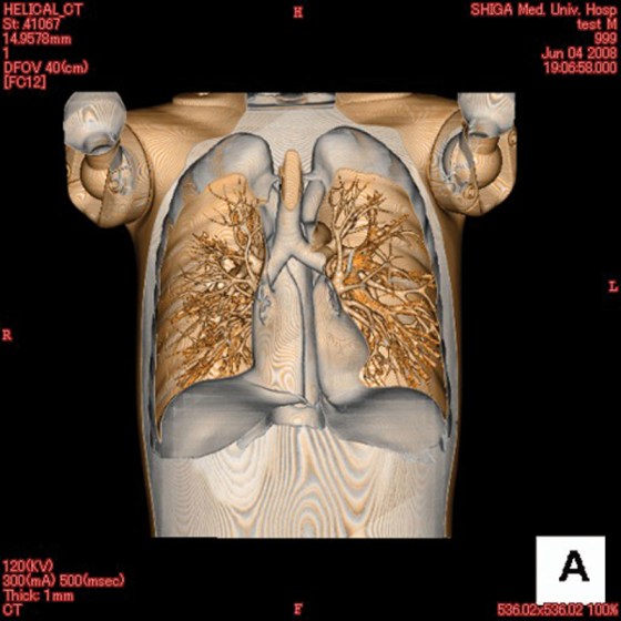 R16950-13